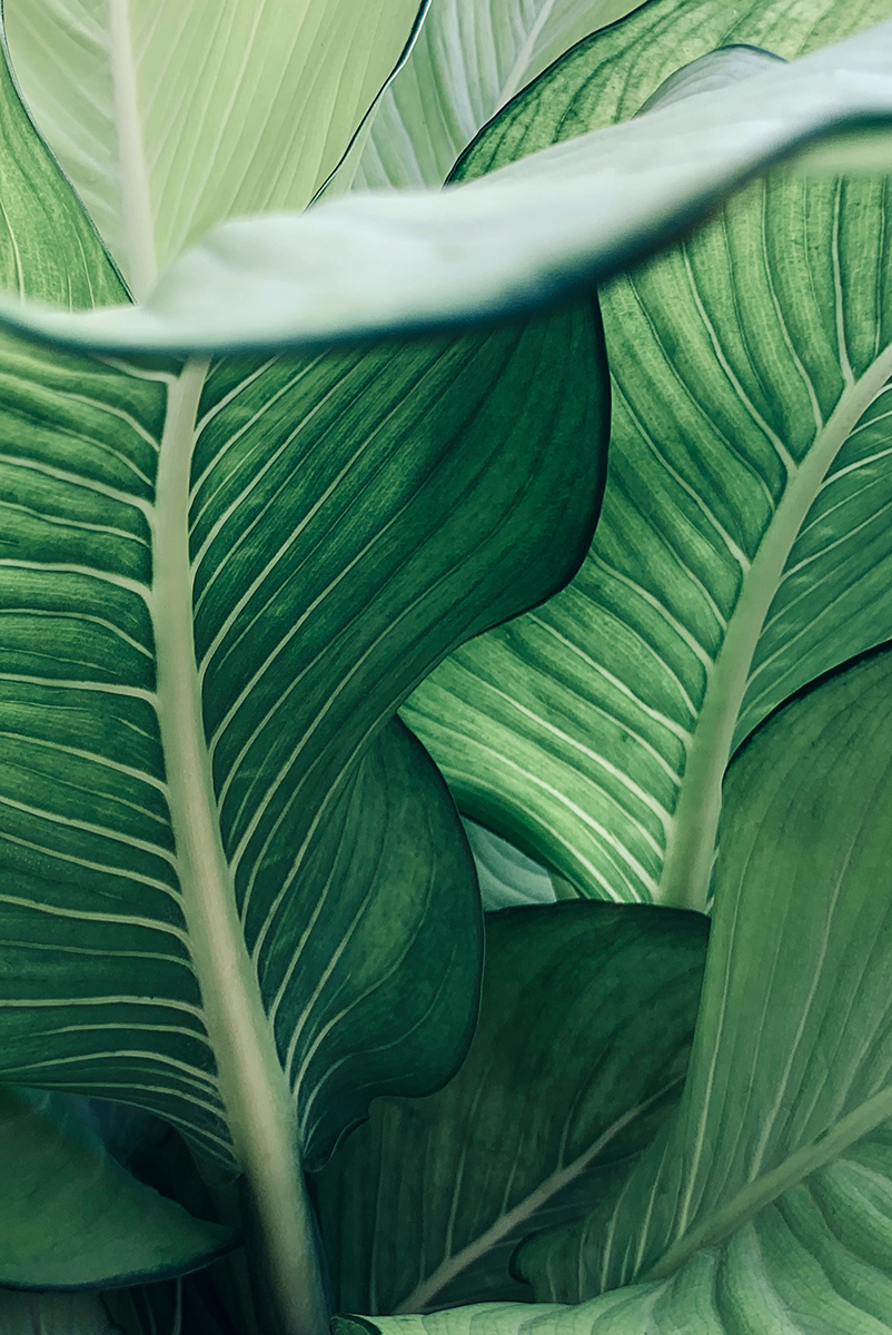 High end home builder 